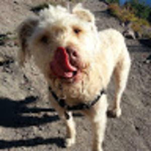 Meet your Posher, Whitnee